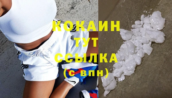 ГАЛЛЮЦИНОГЕННЫЕ ГРИБЫ Алзамай