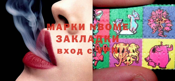 хмурый Арсеньев