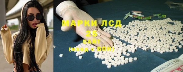 ГАЛЛЮЦИНОГЕННЫЕ ГРИБЫ Алзамай