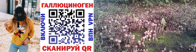 где продают Чебаркуль Галлюциногенные грибы GOLDEN TEACHER